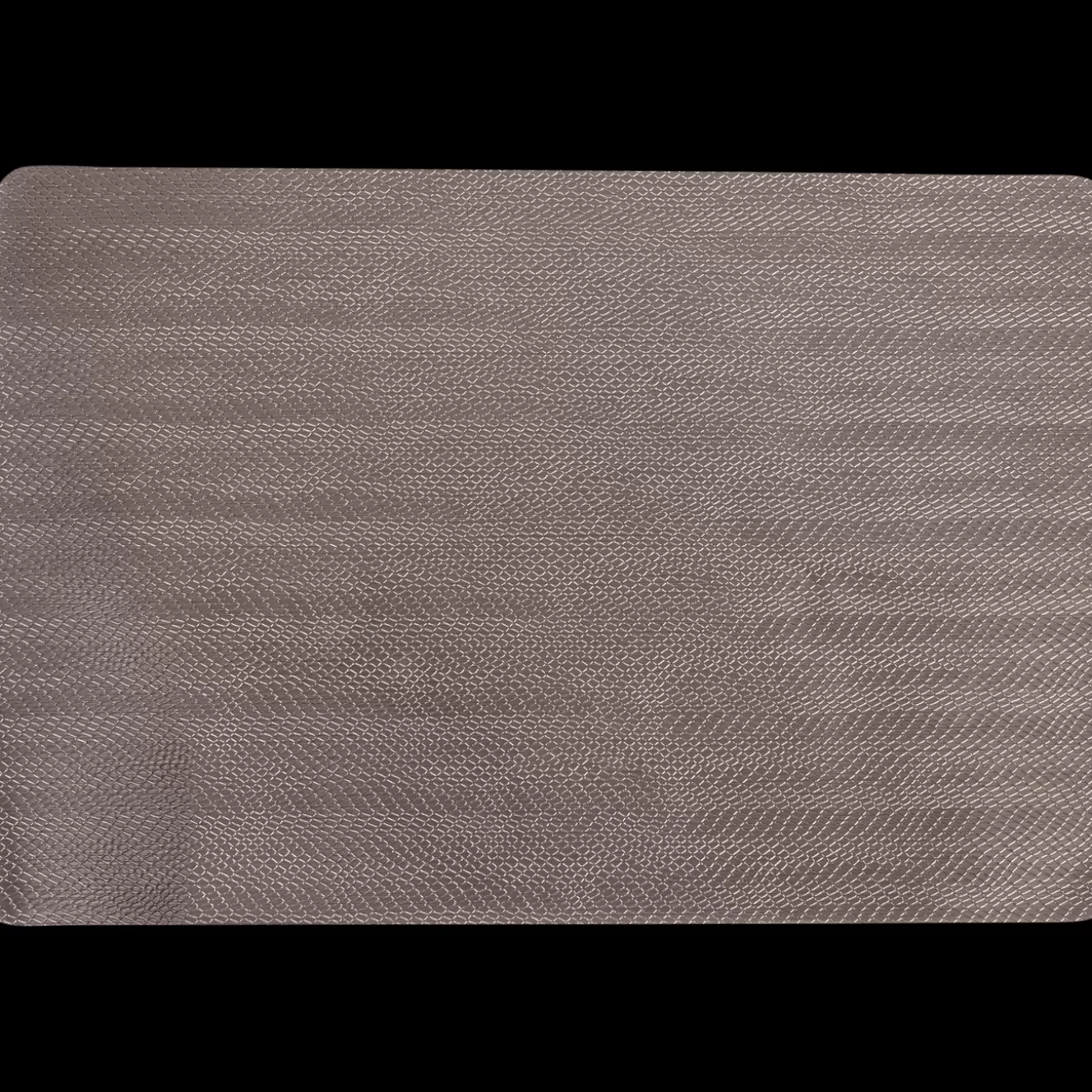Action Placemat