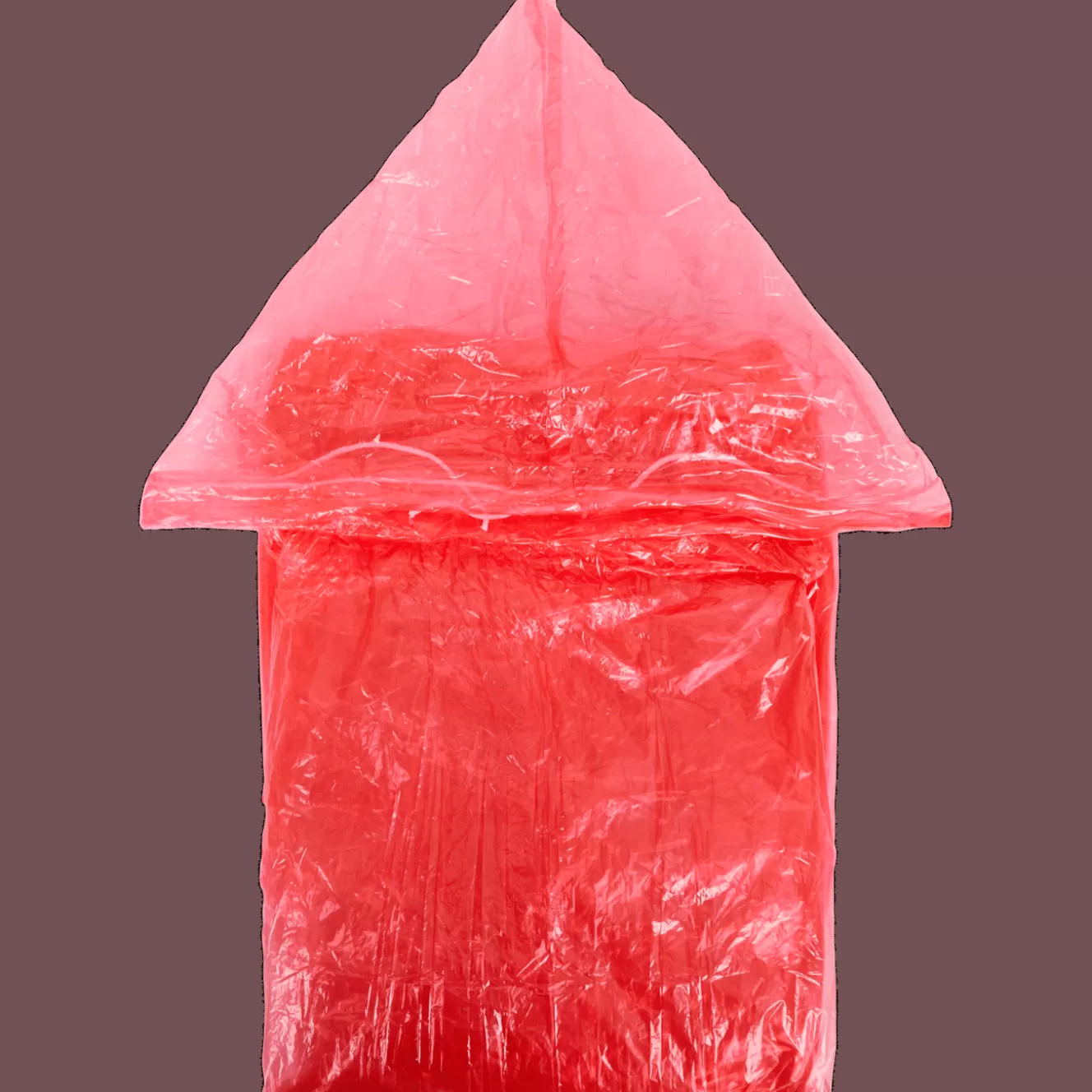 Action Regenponcho